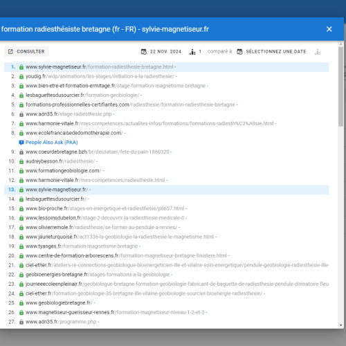 Le site sylvie-magnetiseur.fr se positionne en haut de Google pour le mot-clé ' formation radiesthésite Bretagne '