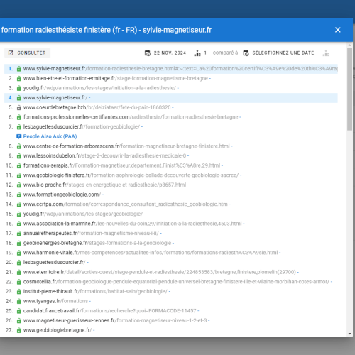 Le site sylvie-magnetiseur.fr se positionne en haut de Google pour le mot-clé ' formation radiesthésite Finistère '