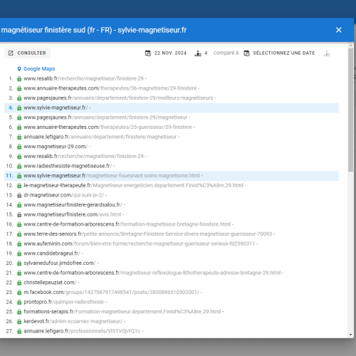 Le site sylvie-magnetiseur.fr se positionne en haut de Google pour le mot-clé ' magnétiseur Finistère '
