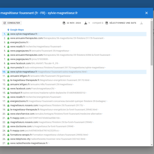 Le site sylvie-magnetiseur.fr se positionne en haut de Google pour le mot-clé ' magnétiseur Fouesnant '