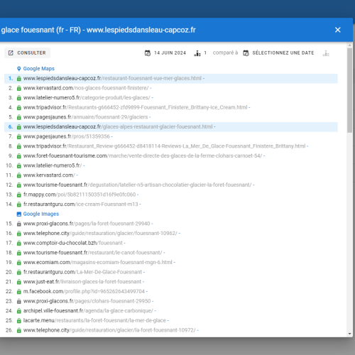Le site lespiedsdansleau-capcoz.fr se positionne en haut de Google pour le mot-clé ' glace Fouesnant '