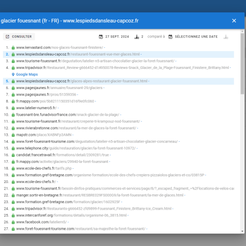 Le site lespiedsdansleau-capcoz.fr se positionne en haut de Google pour le mot-clé ' glacier Fouesnant '